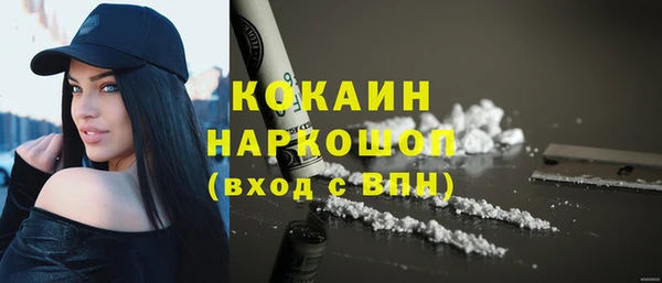 индика Абаза