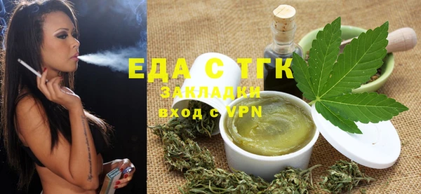 индика Абаза