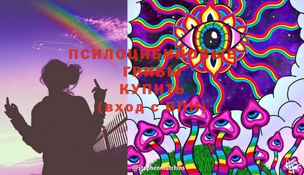 стаф Абдулино