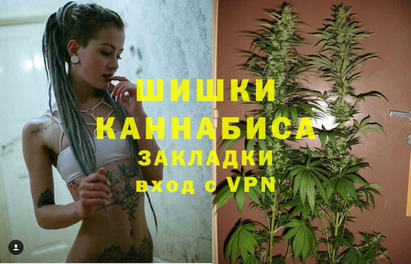 индика Абаза