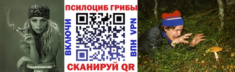 Галлюциногенные грибы мицелий Калач